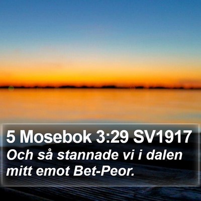5 Mosebok 3:29 SV1917 Bible Verse Image