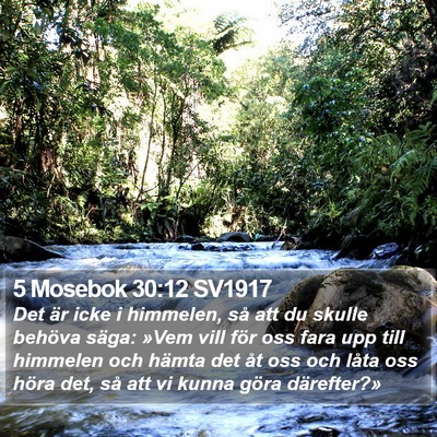 5 Mosebok 30:12 SV1917 Bible Verse Image
