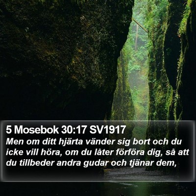 5 Mosebok 30:17 SV1917 Bible Verse Image