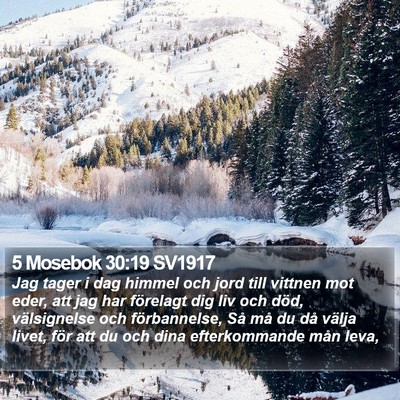 5 Mosebok 30:19 SV1917 Bible Verse Image