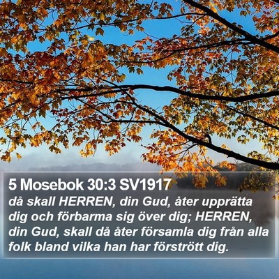 5 Mosebok 30:3 SV1917 Bible Verse Image