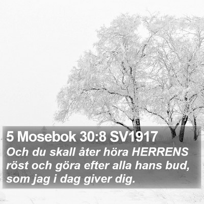 5 Mosebok 30:8 SV1917 Bible Verse Image
