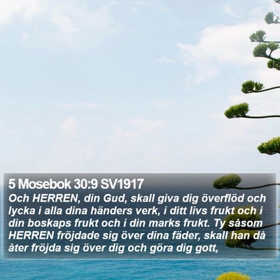 5 Mosebok 30:9 SV1917 Bible Verse Image