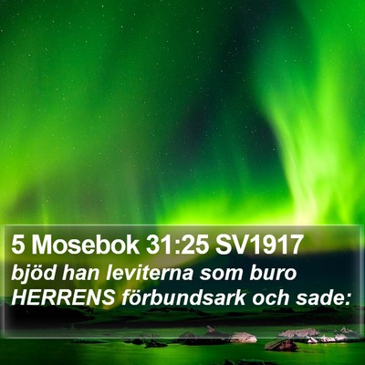 5 Mosebok 31:25 SV1917 Bible Verse Image