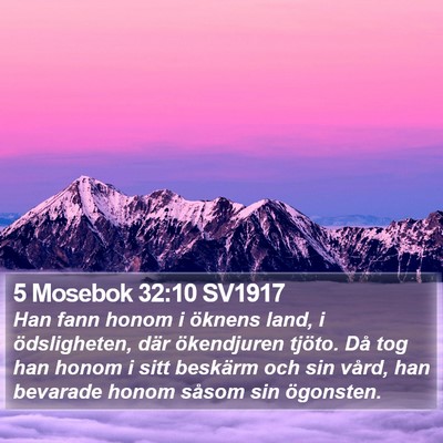 5 Mosebok 32:10 SV1917 Bible Verse Image
