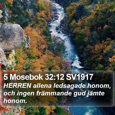 5 Mosebok 32:12 SV1917 Bible Verse Image