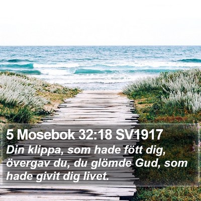 5 Mosebok 32:18 SV1917 Bible Verse Image