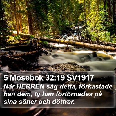 5 Mosebok 32:19 SV1917 Bible Verse Image