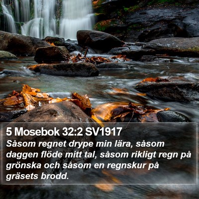 5 Mosebok 32:2 SV1917 Bible Verse Image