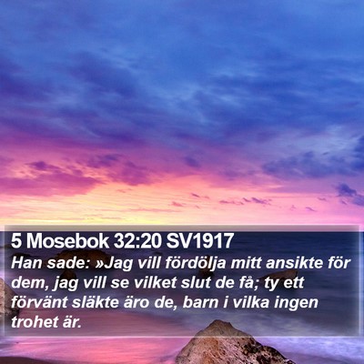 5 Mosebok 32:20 SV1917 Bible Verse Image
