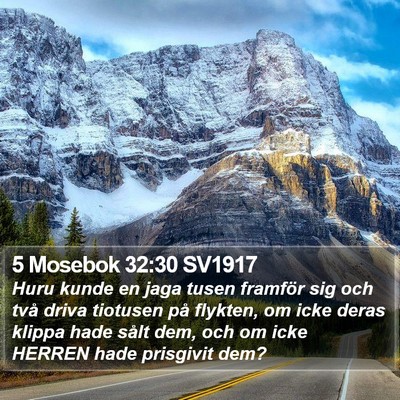 5 Mosebok 32:30 SV1917 Bible Verse Image