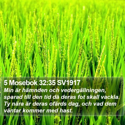 5 Mosebok 32:35 SV1917 Bible Verse Image