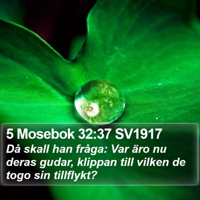 5 Mosebok 32:37 SV1917 Bible Verse Image