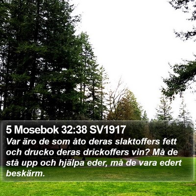 5 Mosebok 32:38 SV1917 Bible Verse Image