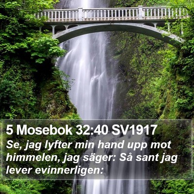 5 Mosebok 32:40 SV1917 Bible Verse Image