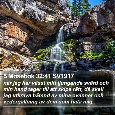 5 Mosebok 32:41 SV1917 Bible Verse Image