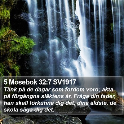 5 Mosebok 32:7 SV1917 Bible Verse Image