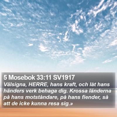 5 Mosebok 33:11 SV1917 Bible Verse Image