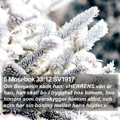 5 Mosebok 33:12 SV1917 Bible Verse Image