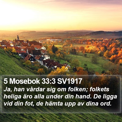 5 Mosebok 33:3 SV1917 Bible Verse Image