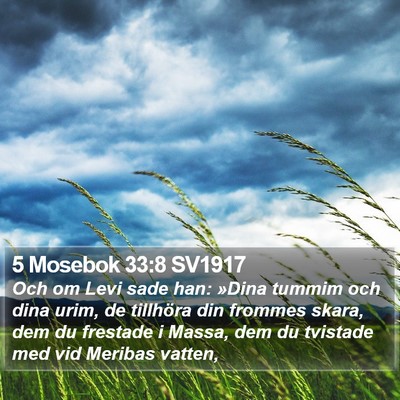 5 Mosebok 33:8 SV1917 Bible Verse Image