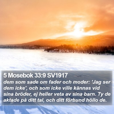 5 Mosebok 33:9 SV1917 Bible Verse Image
