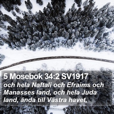 5 Mosebok 34:2 SV1917 Bible Verse Image
