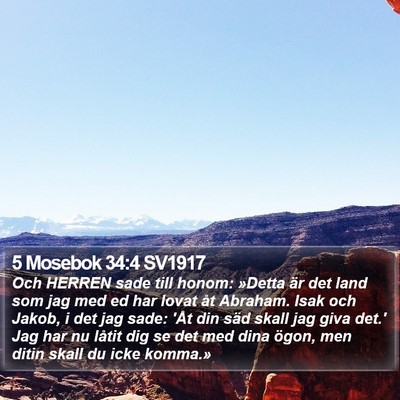 5 Mosebok 34:4 SV1917 Bible Verse Image