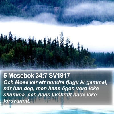 5 Mosebok 34:7 SV1917 Bible Verse Image