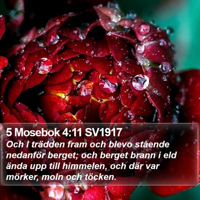 5 Mosebok 4:11 SV1917 Bible Verse Image