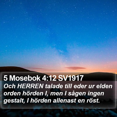 5 Mosebok 4:12 SV1917 Bible Verse Image