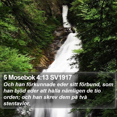 5 Mosebok 4:13 SV1917 Bible Verse Image