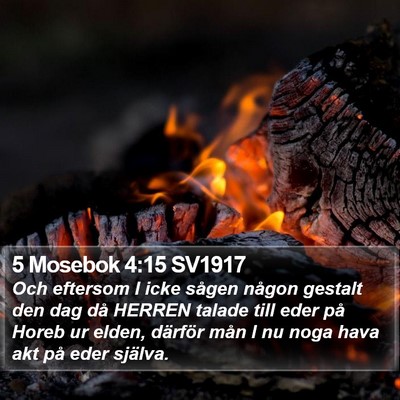 5 Mosebok 4:15 SV1917 Bible Verse Image
