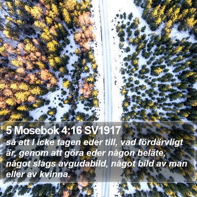 5 Mosebok 4:16 SV1917 Bible Verse Image