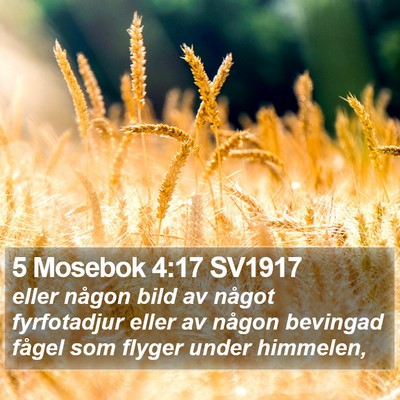 5 Mosebok 4:17 SV1917 Bible Verse Image