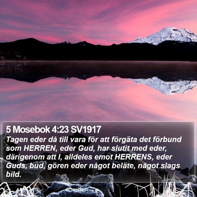 5 Mosebok 4:23 SV1917 Bible Verse Image