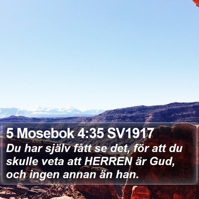5 Mosebok 4:35 SV1917 Bible Verse Image