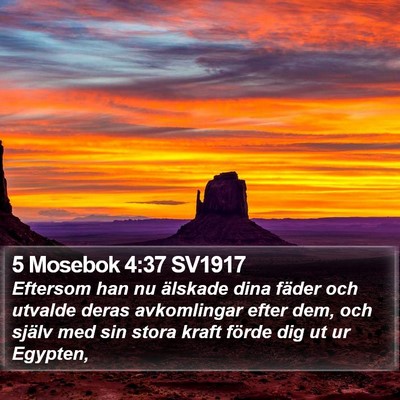 5 Mosebok 4:37 SV1917 Bible Verse Image