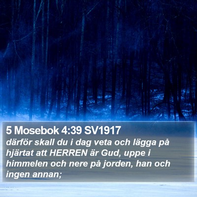 5 Mosebok 4:39 SV1917 Bible Verse Image