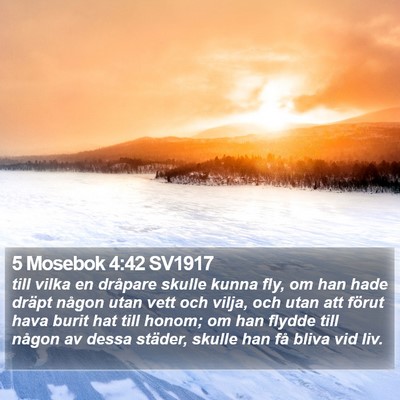 5 Mosebok 4:42 SV1917 Bible Verse Image