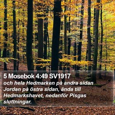 5 Mosebok 4:49 SV1917 Bible Verse Image