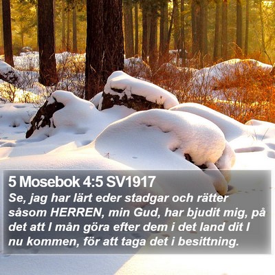 5 Mosebok 4:5 SV1917 Bible Verse Image