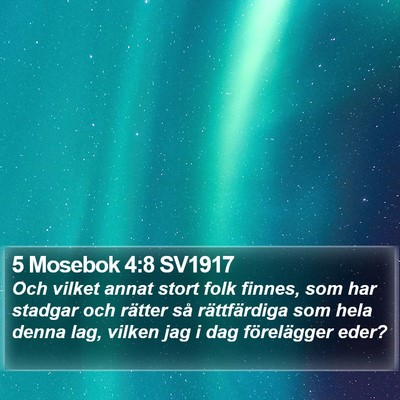 5 Mosebok 4:8 SV1917 Bible Verse Image