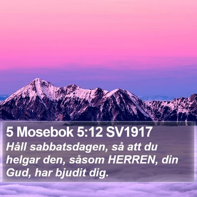 5 Mosebok 5:12 SV1917 Bible Verse Image