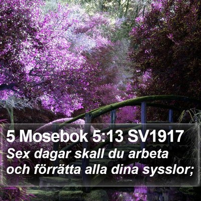 5 Mosebok 5:13 SV1917 Bible Verse Image