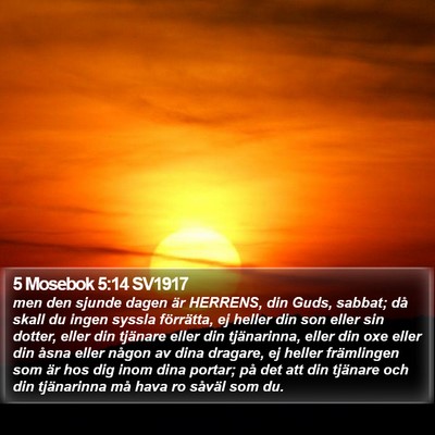 5 Mosebok 5:14 SV1917 Bible Verse Image