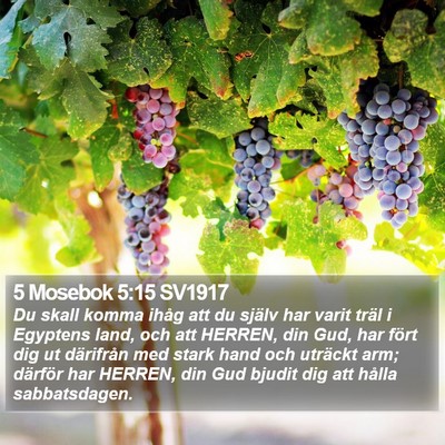 5 Mosebok 5:15 SV1917 Bible Verse Image