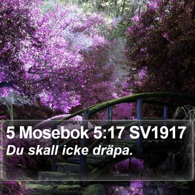 5 Mosebok 5:17 SV1917 Bible Verse Image