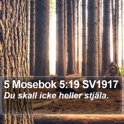 5 Mosebok 5:19 SV1917 Bible Verse Image