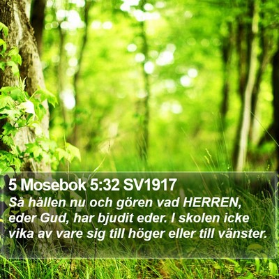 5 Mosebok 5:32 SV1917 Bible Verse Image